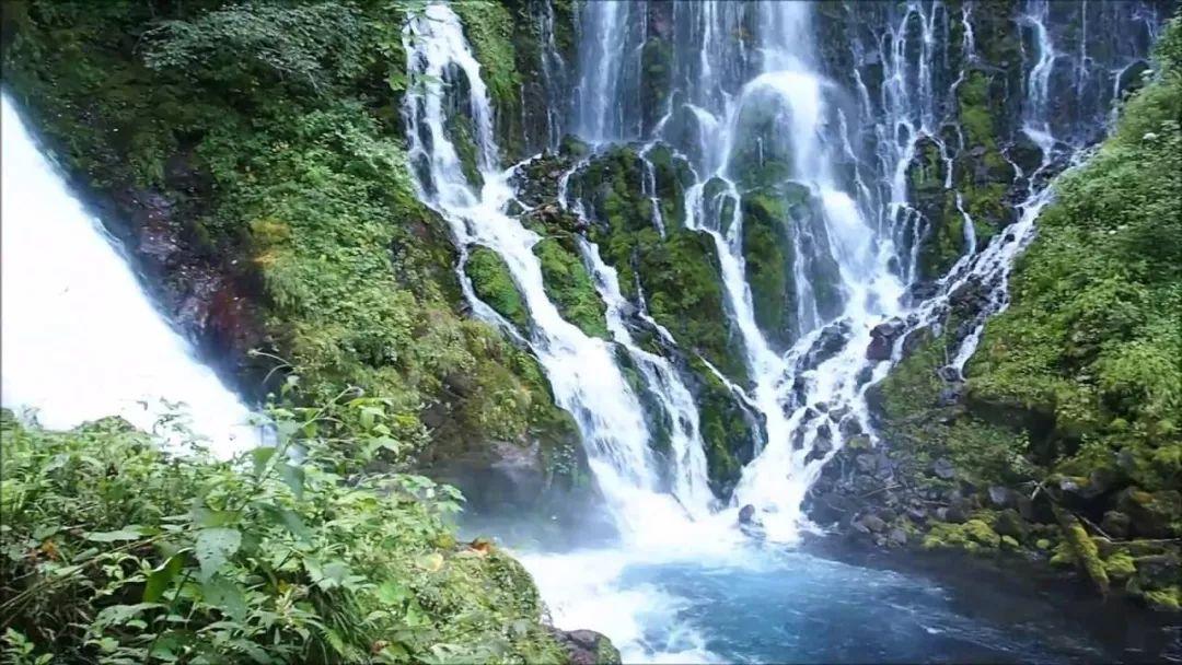 救援深海动物